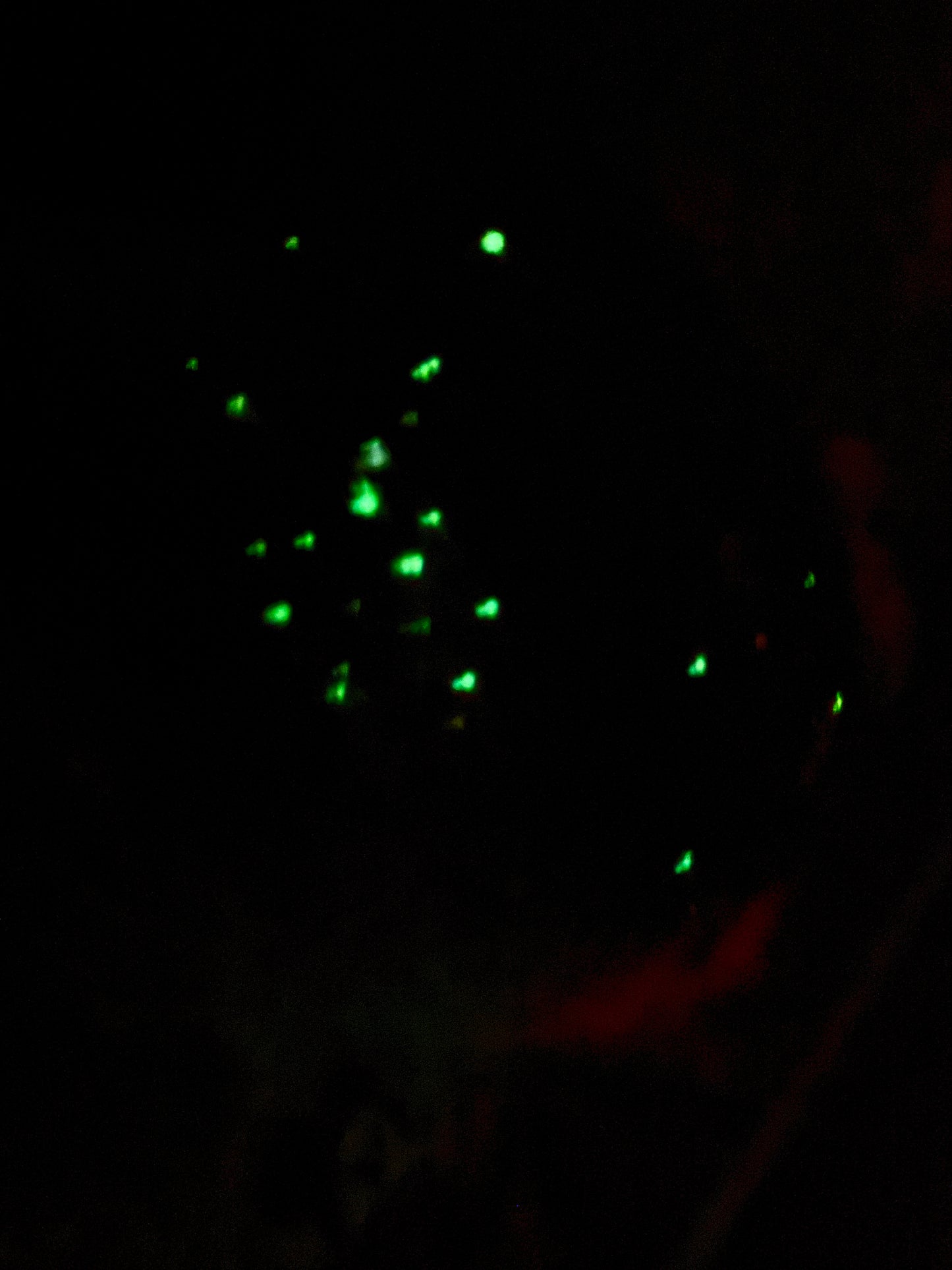 Miss Pumpkin Glow β¨π―οΈπ